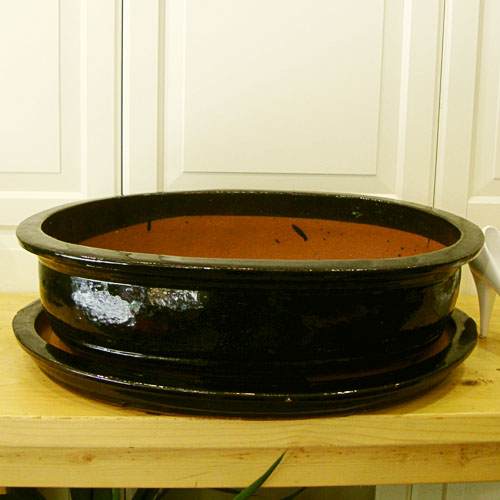 Büyük Bonsai Saksısı